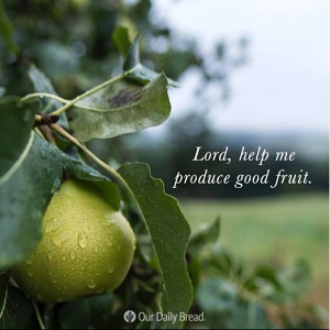 Our Daily Bread Devotionals October 27 2022