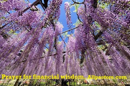 Prayer for Financial wisdom