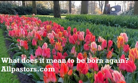 What does it mean to be born again?