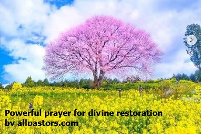 Prayer For Divine Restoration
